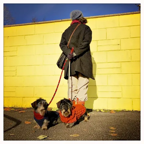 LISH Red Cecil Tweed Dog Lead