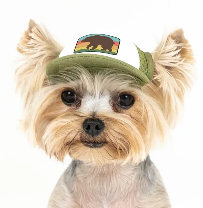 Puplid Trucker Hats