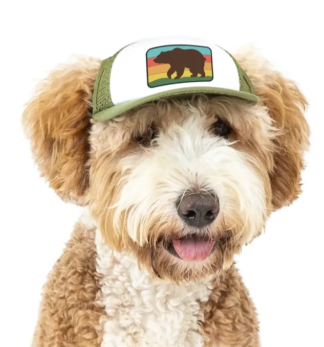 Puplid Trucker Hats