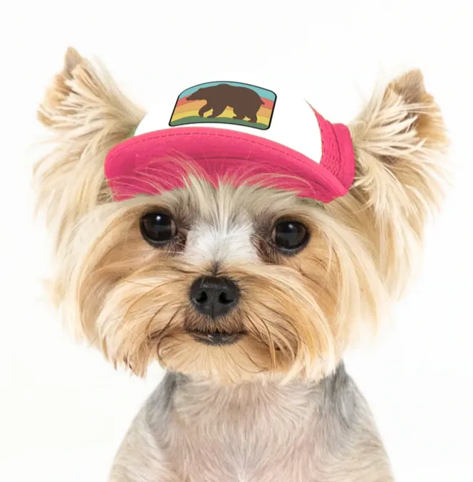 Puplid Trucker Hats