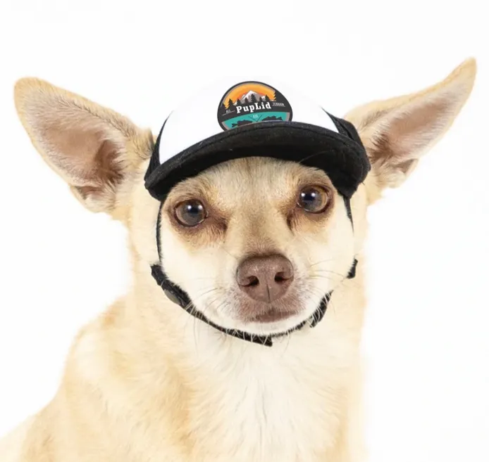 Puplid Trucker Hats