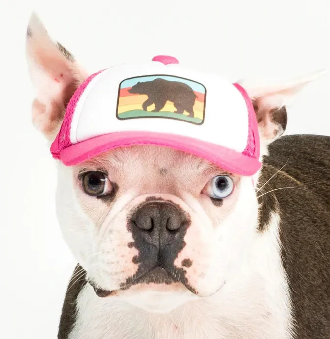 Puplid Trucker Hats