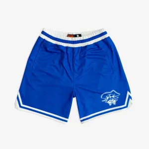 Seton Hall Pirates 1990-1991 Retro Shorts (Away)